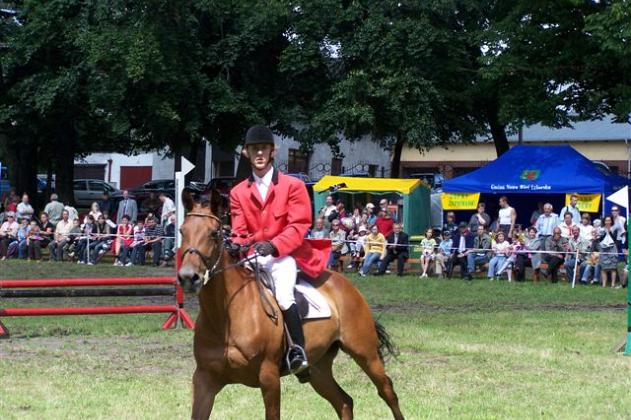 Widowiskowe zawody jeździeckie w Parku Chrobrego