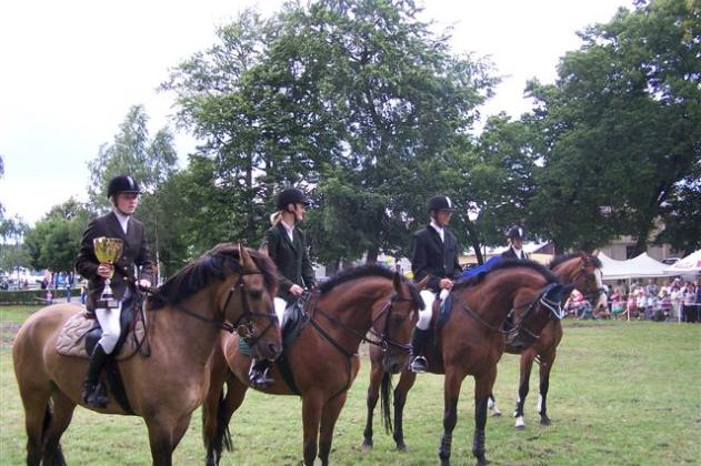 Widowiskowe zawody jeździeckie w Parku Chrobrego