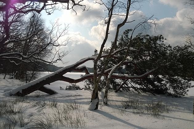 Nad Jeziorem Czarnym... w śnieżnej bieli