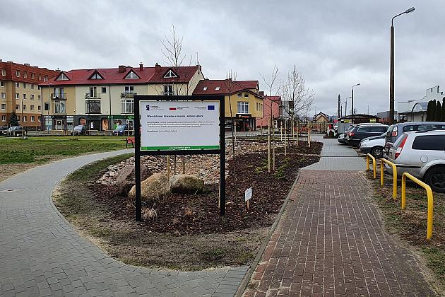 „Więcej drzew i krzewów w mieście – zielony Lębork”