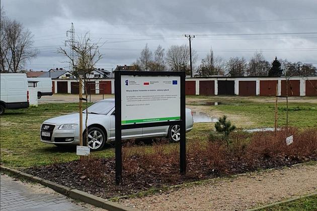 „Więcej drzew i krzewów w mieście – zielony Lębork”