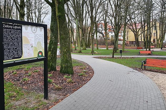 „Więcej drzew i krzewów w mieście – zielony Lębork”