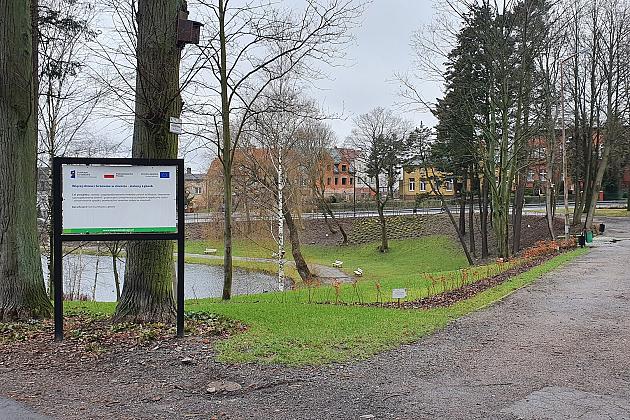 „Więcej drzew i krzewów w mieście – zielony Lębork”