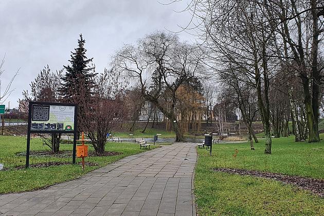 „Więcej drzew i krzewów w mieście – zielony Lębork”