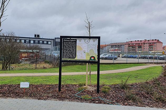 „Więcej drzew i krzewów w mieście – zielony Lębork”