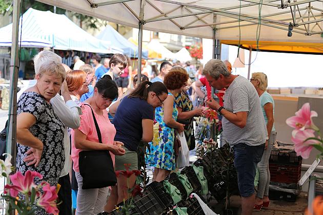 Jubileuszowe Lęborskie Dni Jakubowe AD 2018