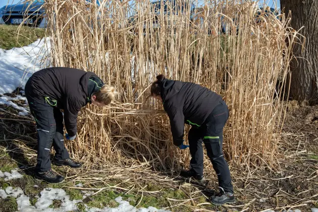 Lębork ruszył z wiosennymi porządkami