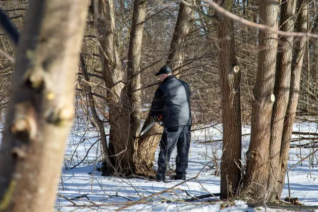 Lębork ruszył z wiosennymi porządkami
