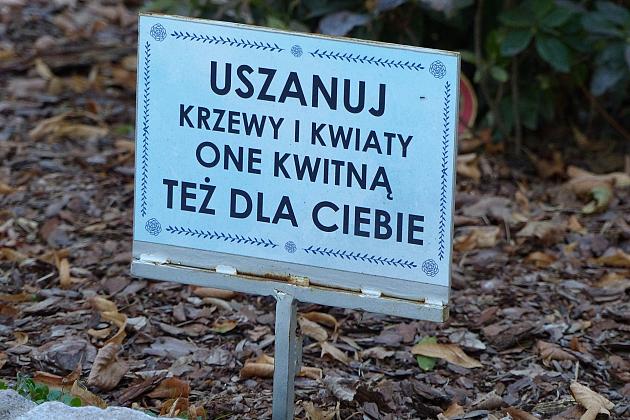 Rusza projekt „Zielony Lębork”. Na początek Park im. Michalskiego i staw przy ul. Gdańskiej