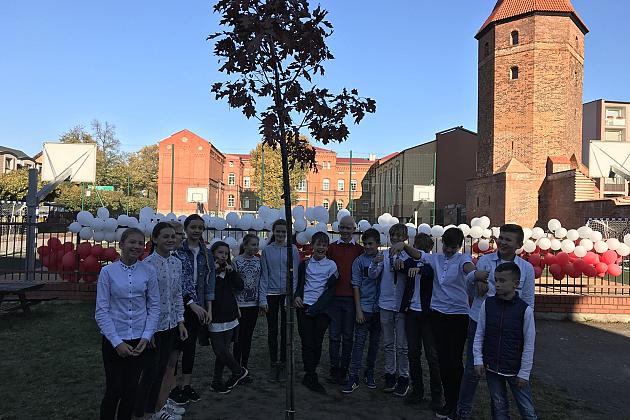 „Dąb Niepodległości” w Szkole Podstawowej nr 3 w Lęborku