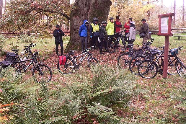 Rajd Pocztylion - rowerami po ziemi lęborskiej