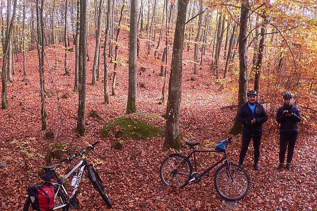 Rajd Pocztylion - rowerami po ziemi lęborskiej