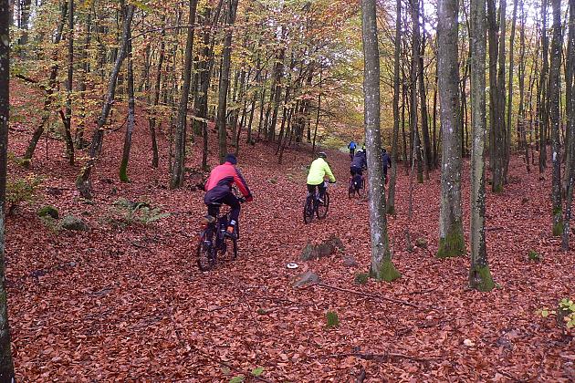 Rajd Pocztylion - rowerami po ziemi lęborskiej