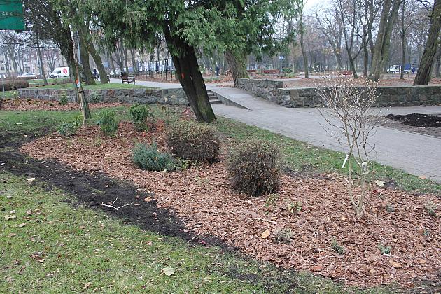 „Zielona rewolucja” w Parku im. Michalskiego