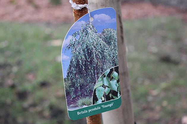 „Zielona rewolucja” w Parku im. Michalskiego