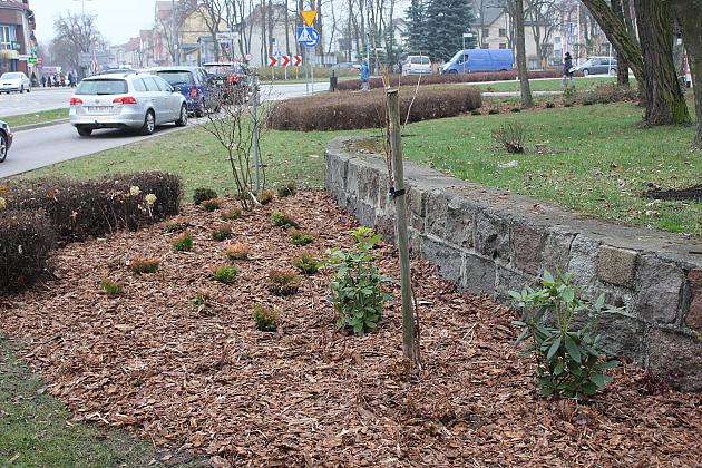 „Zielona rewolucja” w Parku im. Michalskiego