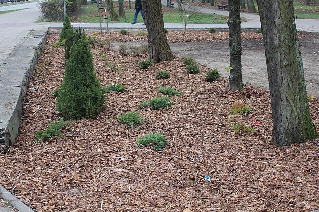 „Zielona rewolucja” w Parku im. Michalskiego
