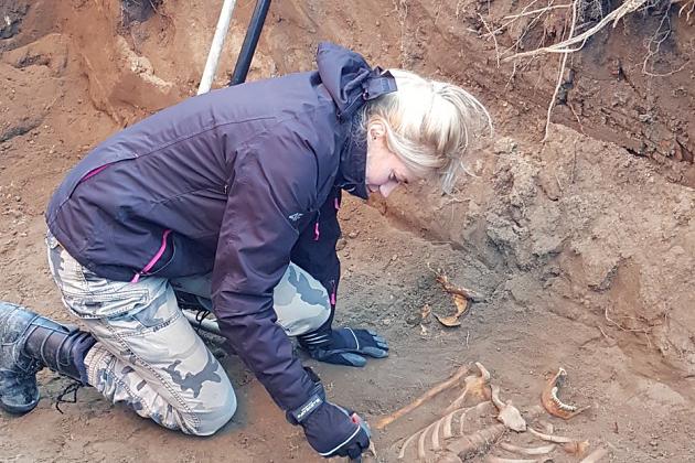 Kolejne archeologiczne znaleziska w pobliżu Sanktuarium św. Jakuba