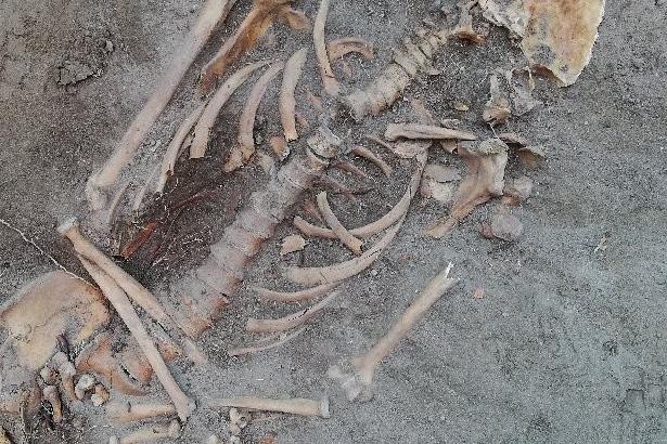 Kolejne archeologiczne znaleziska w pobliżu Sanktuarium św. Jakuba