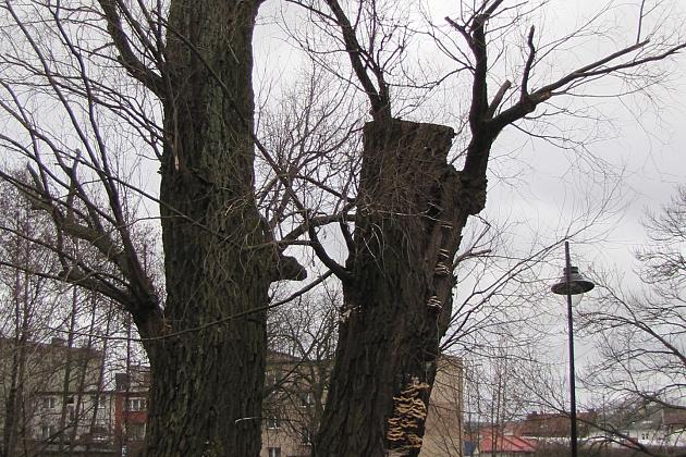 Na ratunek „Wodniczkom”