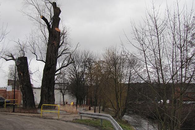 Na ratunek „Wodniczkom”