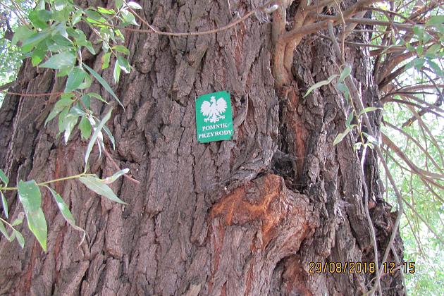 Na ratunek „Wodniczkom”