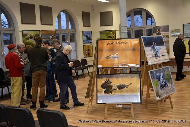 Obejrzyj  wystawę „Ptaki Pomorza”