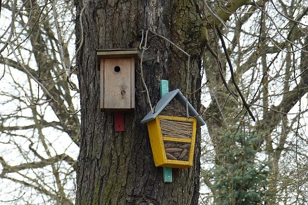 W Parku im. Michalskiego zawisły budki na ptaki i owady