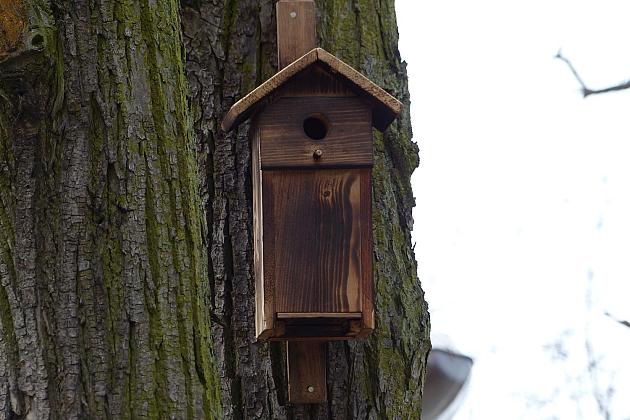 W Parku im. Michalskiego zawisły budki na ptaki i owady