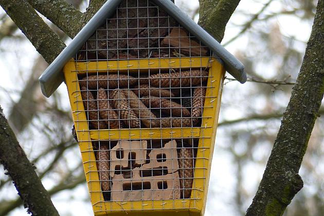 W Parku im. Michalskiego zawisły budki na ptaki i owady