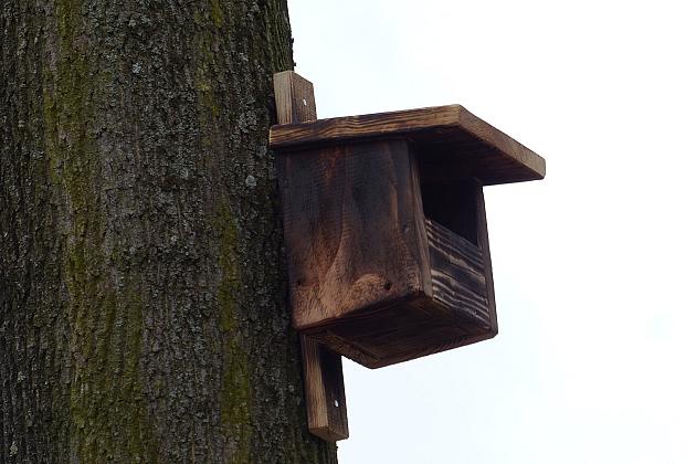 W Parku im. Michalskiego zawisły budki na ptaki i owady
