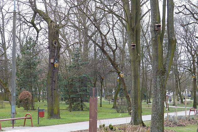 W Parku im. Michalskiego zawisły budki na ptaki i owady