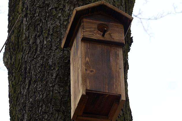 W Parku im. Michalskiego zawisły budki na ptaki i owady