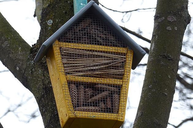 W Parku im. Michalskiego zawisły budki na ptaki i owady