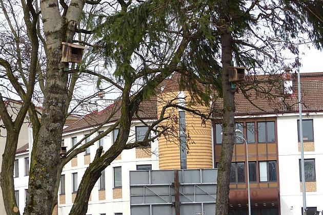 W Parku im. Michalskiego zawisły budki na ptaki i owady