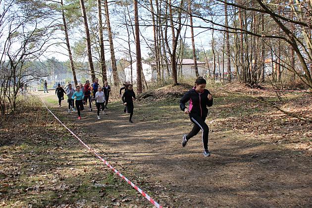 Biegi Przełajowe o Puchar Grand-Prix Lęborka