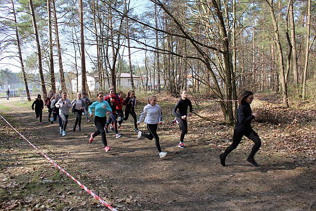 Biegi Przełajowe o Puchar Grand-Prix Lęborka