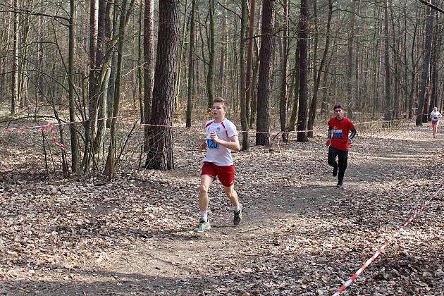 Biegi Przełajowe o Puchar Grand-Prix Lęborka