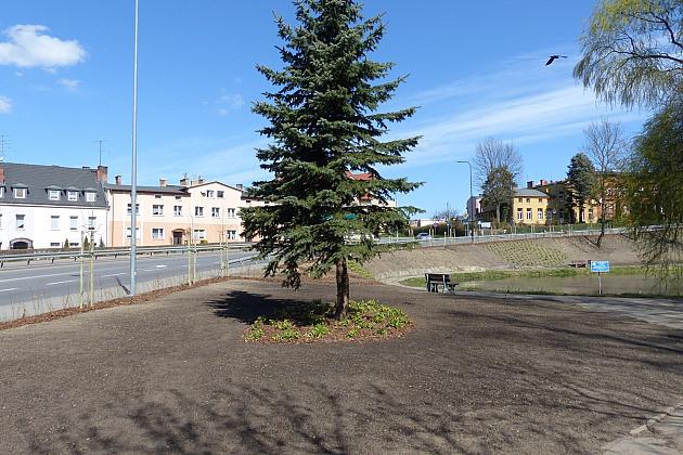 Zielono przy stawie w Parku Chrobrego