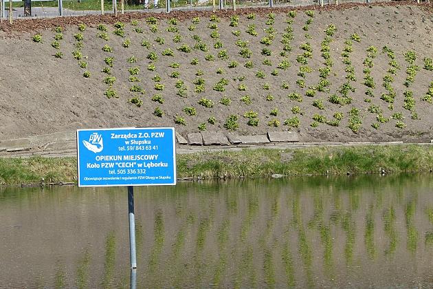 Zielono przy stawie w Parku Chrobrego