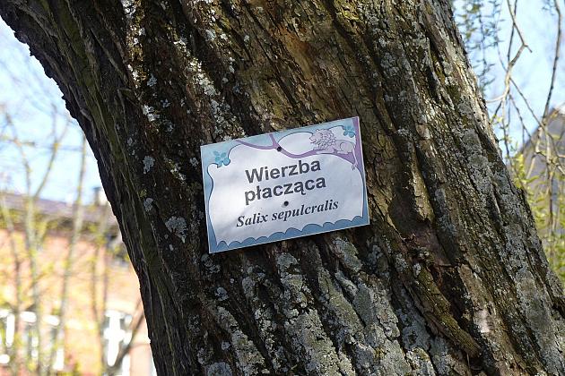 Zielono przy stawie w Parku Chrobrego