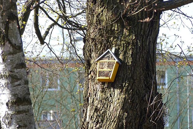 Zielono przy stawie w Parku Chrobrego