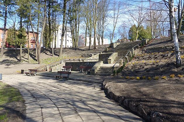 Zielono przy stawie w Parku Chrobrego