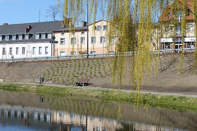 Zielono przy stawie w Parku Chrobrego