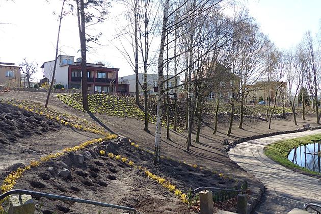 Zielono przy stawie w Parku Chrobrego