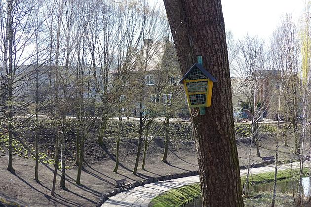 Zielono przy stawie w Parku Chrobrego