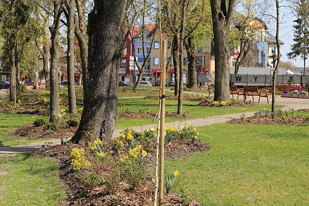 Wiosennie w lęborskim parku