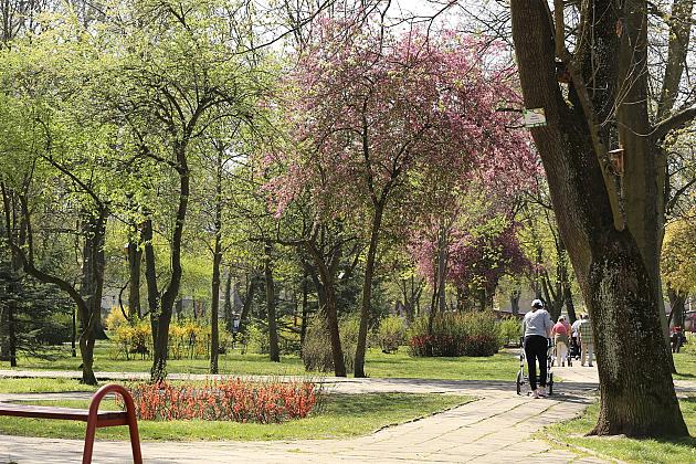 Wiosennie w lęborskim parku