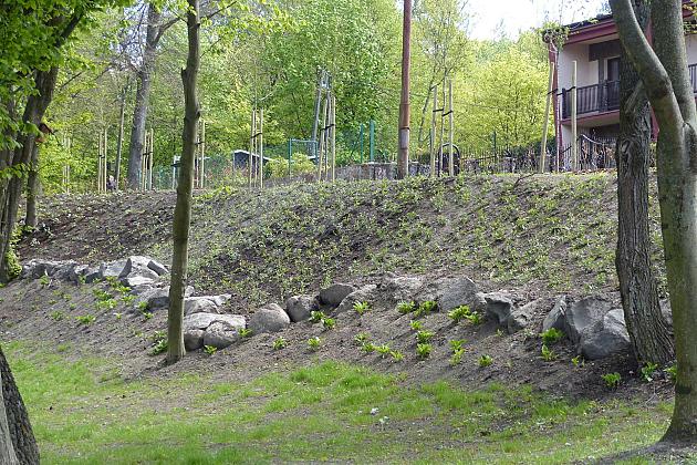 Staw w Parku Chrobrego z nowymi ławkami