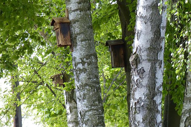 Staw w Parku Chrobrego z nowymi ławkami